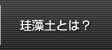 珪藻土とは？