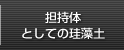 担持体としての珪藻土